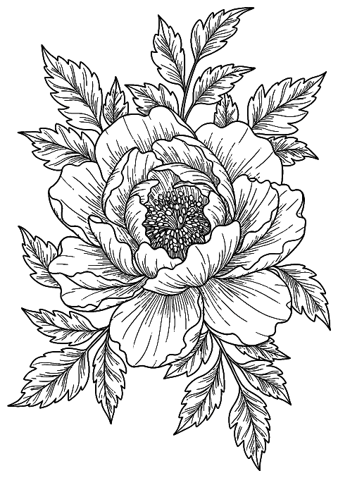 avancerad blomma Coloring Page