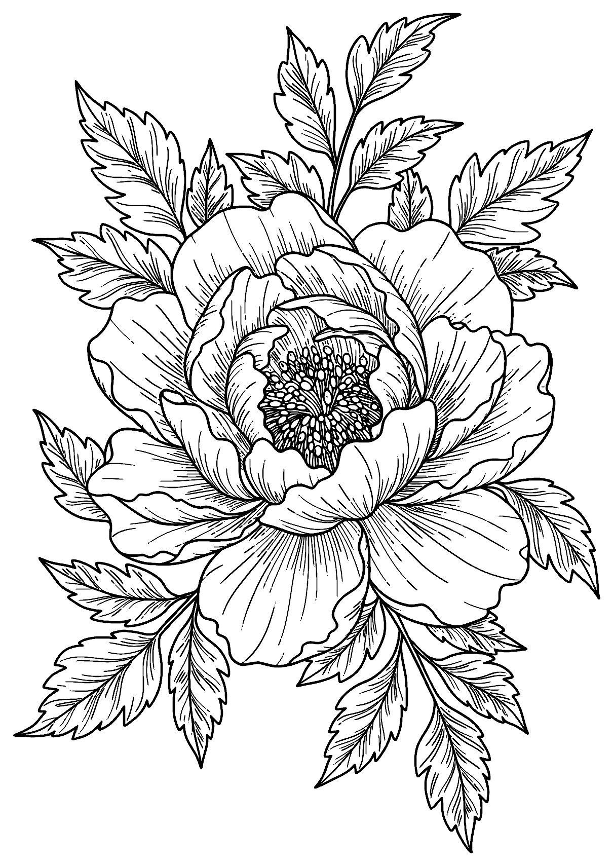 Advanced Flower Coloring Page