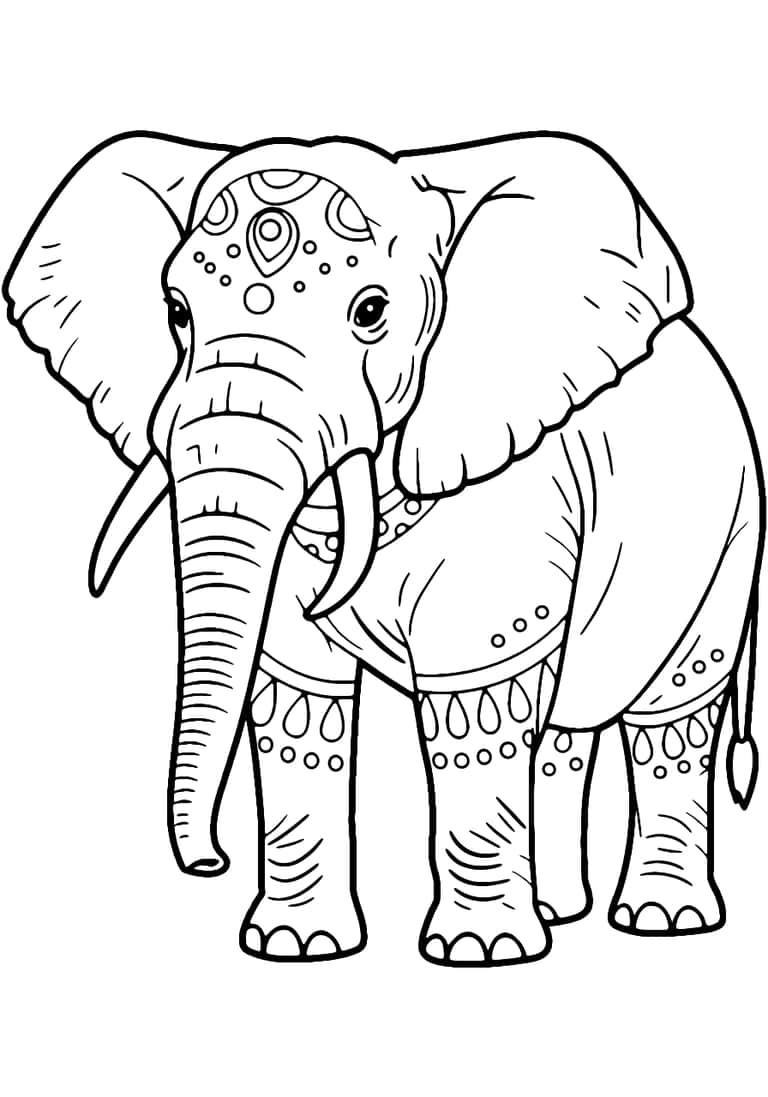 Dibujo De Elefante Africano Para Colorear