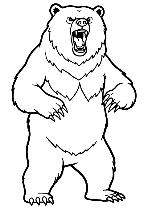 Angry Bear Coloring Page