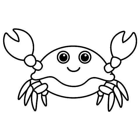 bébé crabe