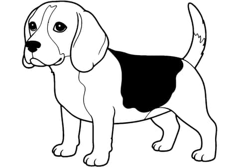 beagle köpek Coloring Page