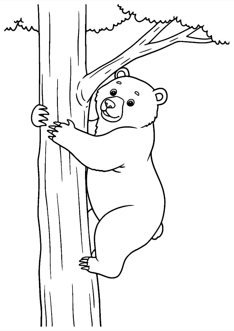 Dibujo De Oso Trepando Un Árbol Para Colorear