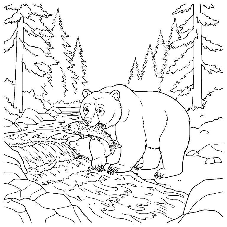 Dibujo De Oso Cazando Para Colorear