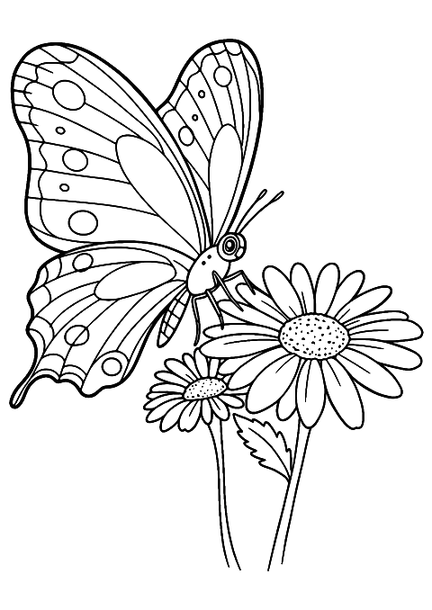 Sommerfugl og blomst Coloring Page