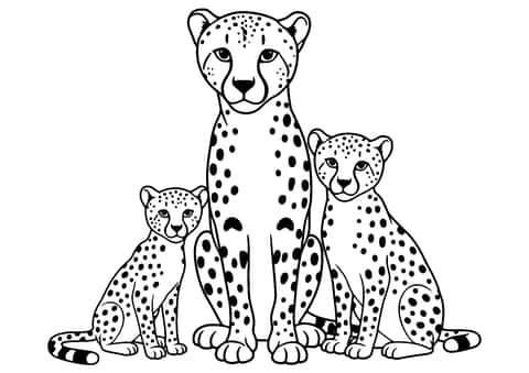 cheetah family