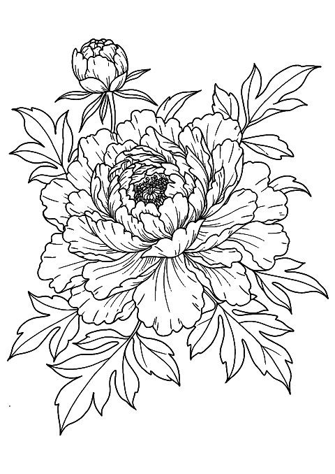 kinesisk blomst Coloring Page