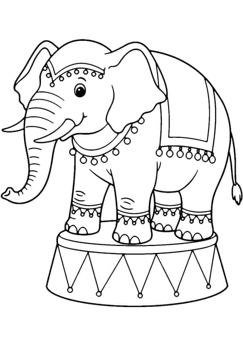 circus elephant Coloring Page