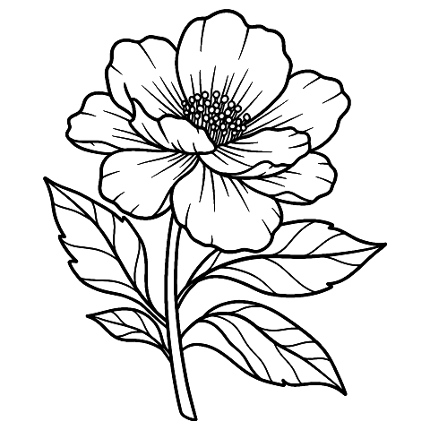 detaljert blomst Coloring Page