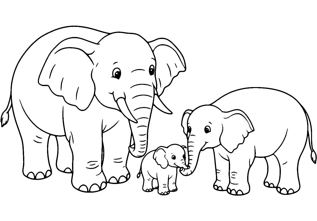 Família Elefante Para Colorir