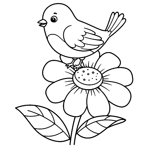 kwiatek i ptak Coloring Page