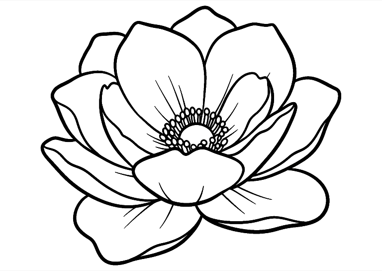 Coloriage Fleur épanouie