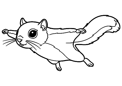 liito-orava Coloring Page