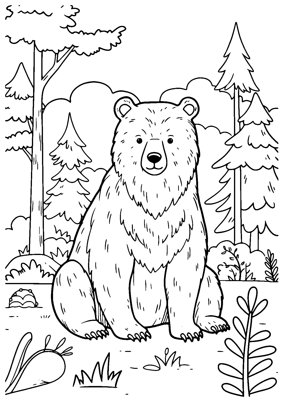 Urso Da Floresta Para Colorir