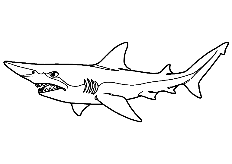 Goblin Shark Coloring Page