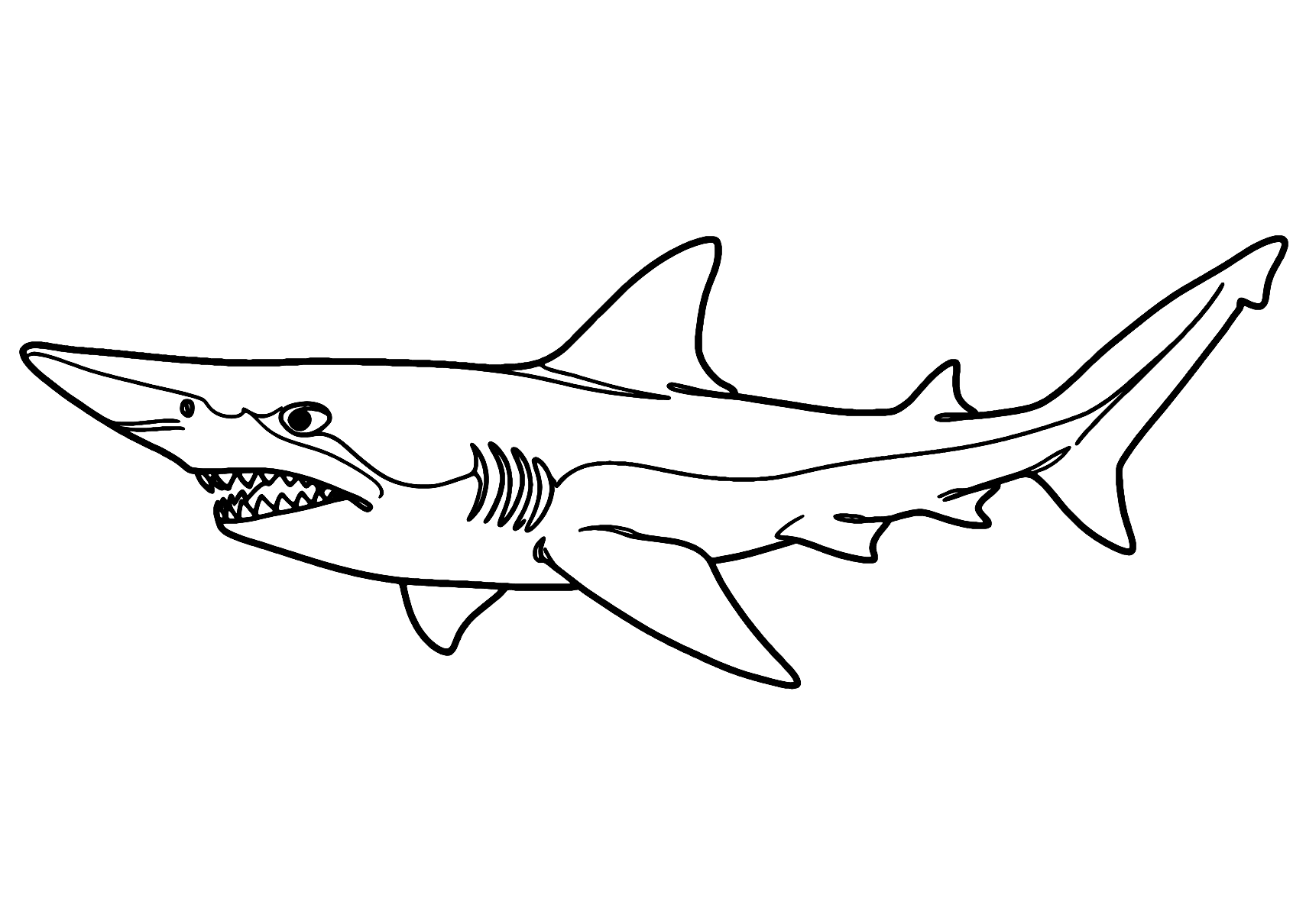 Coloriage Requin Lutin