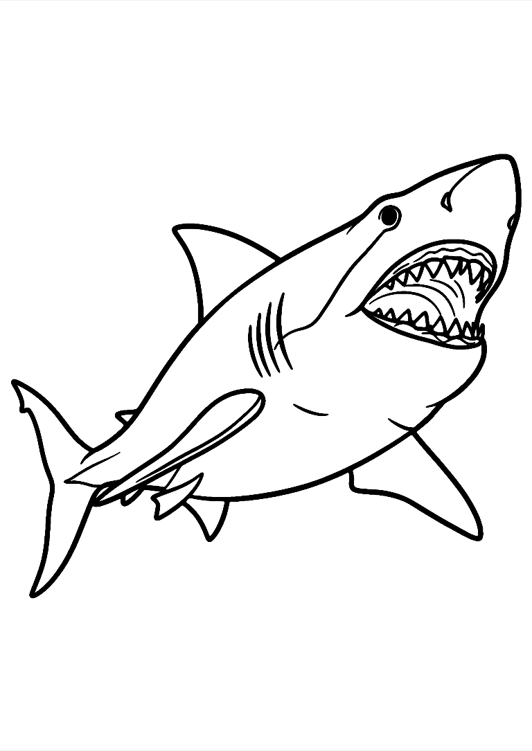 Great White Shark Coloring Page