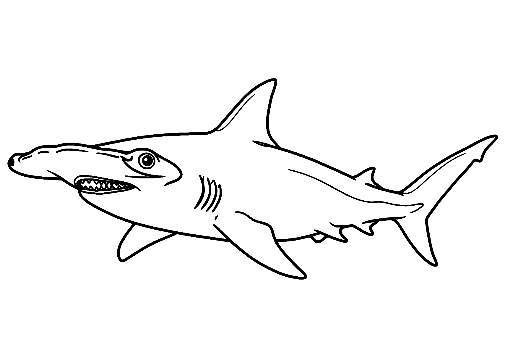 Coloriage Requin-marteau