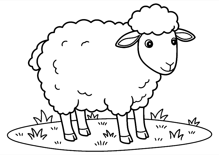 Sheep On The Grass Coloring Page