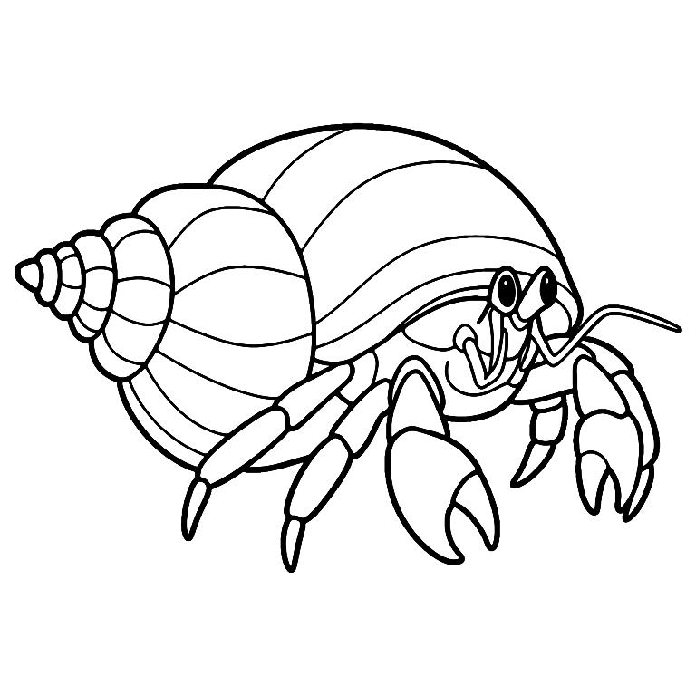 Hermit Crab Coloring Page