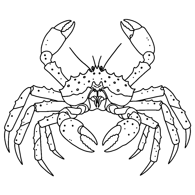 King Crab Coloring Page