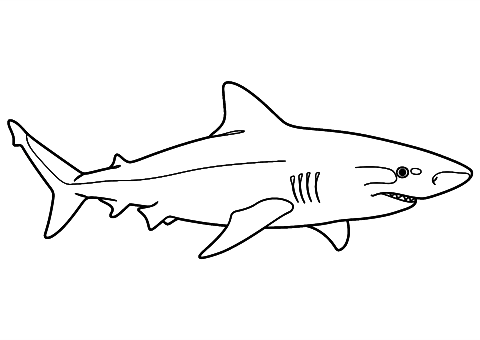 lemon shark