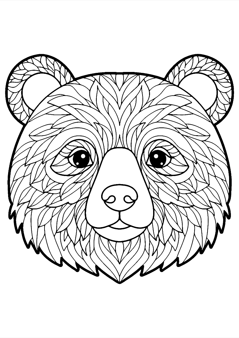 Desenho De Urso Mandala Para Colorir