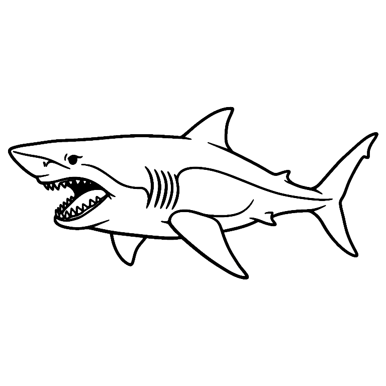 Disegno Da Colorare Di Squalo Megalodonte