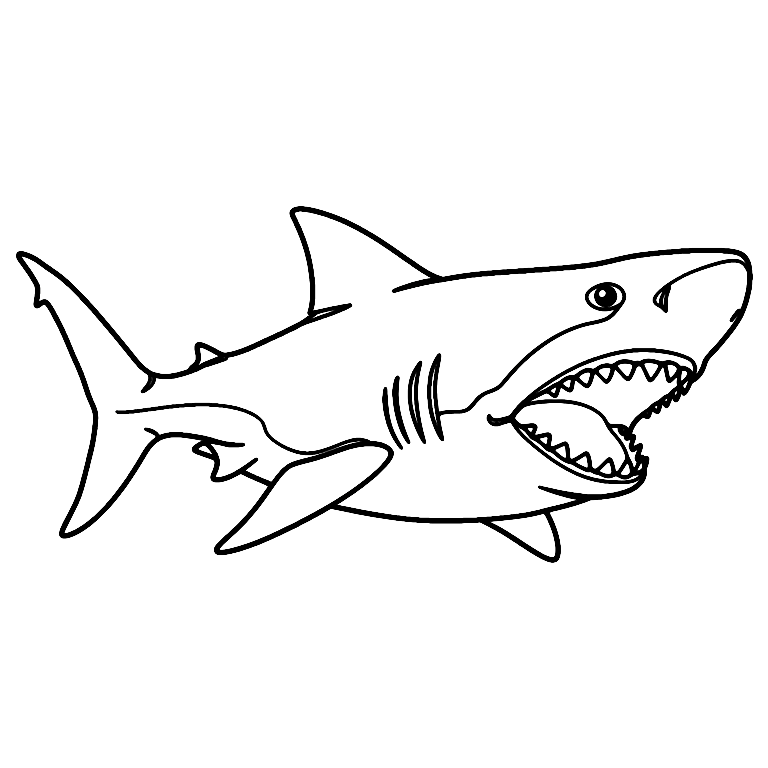 Disegno Da Colorare Di Squalo Megalodonte