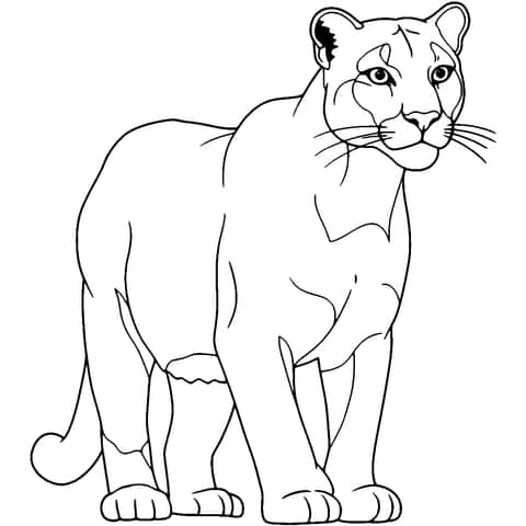 mountain lion Coloring Page