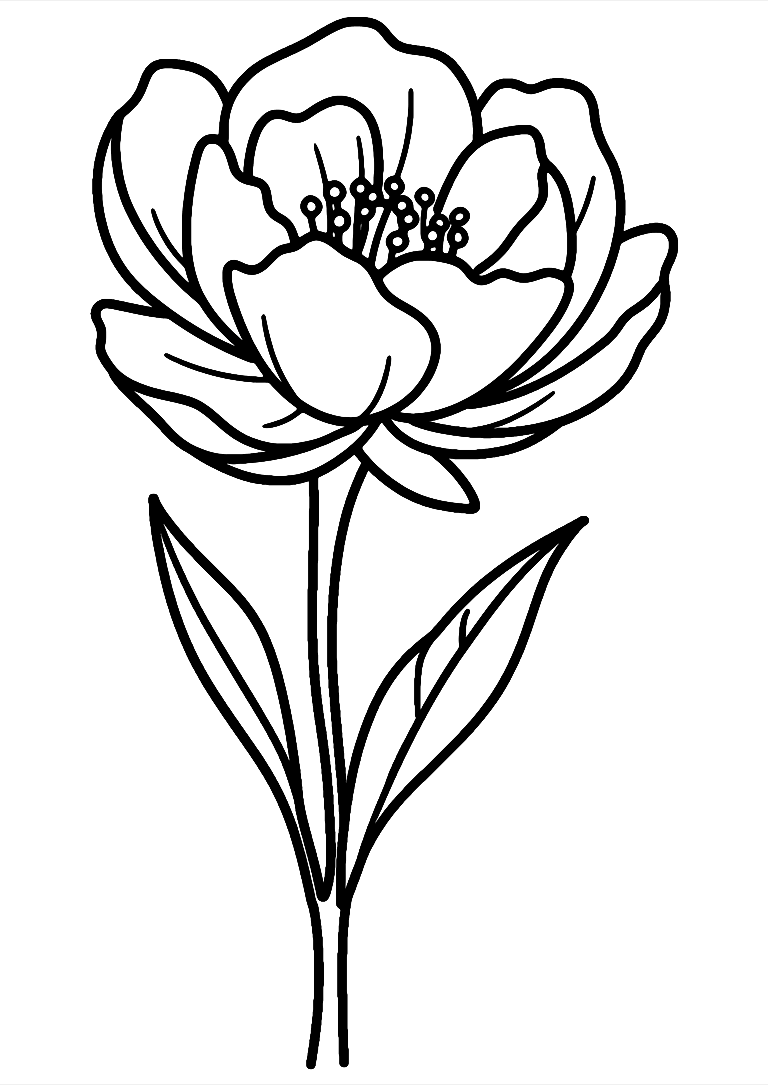 Black And White Flower Coloring Page