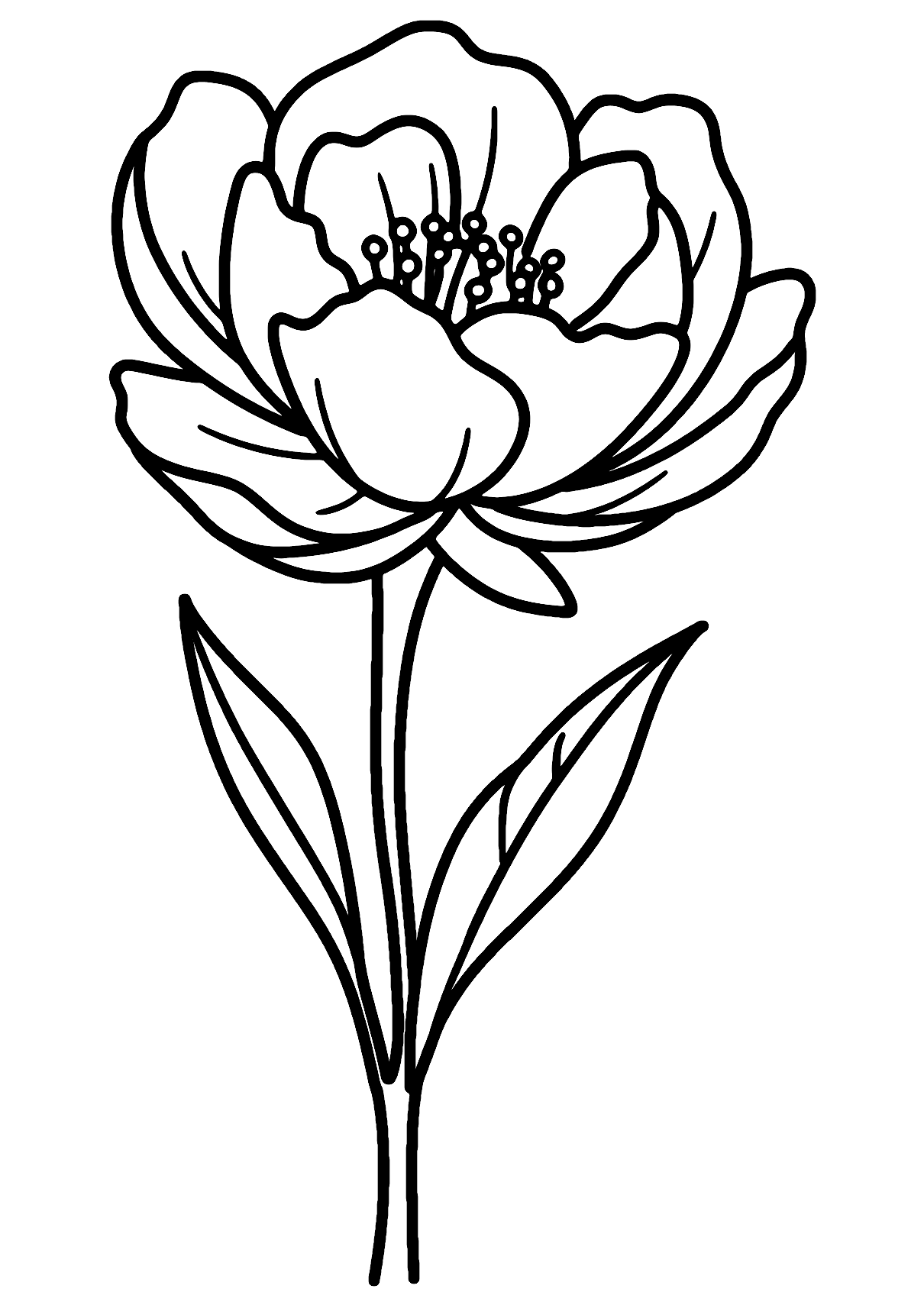 Black And White Flower Coloring Page