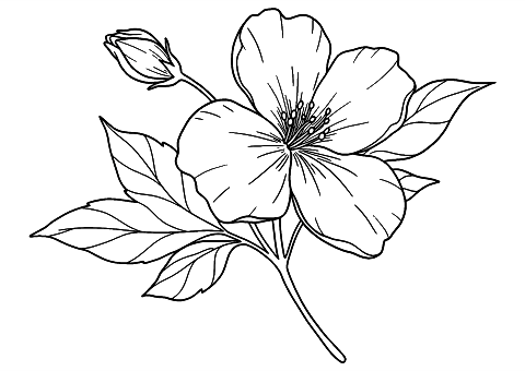 hübsche realistische Blume Coloring Page