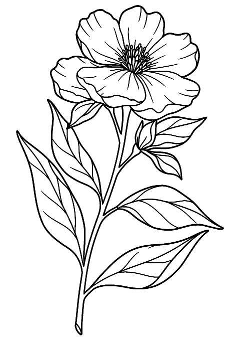 floare realistică frumoasă Coloring Page