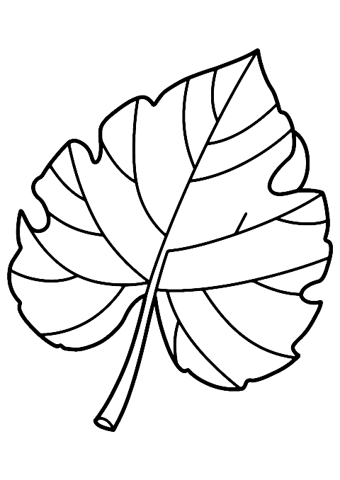 pumpkin leaf Coloring Page