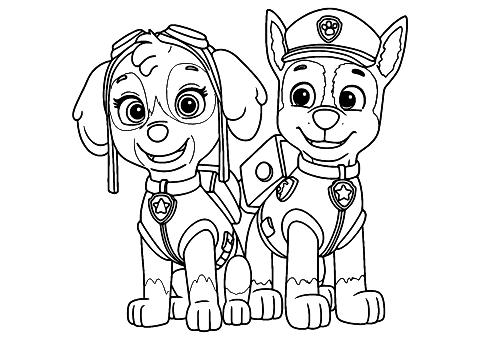 skye en chase paw patrol