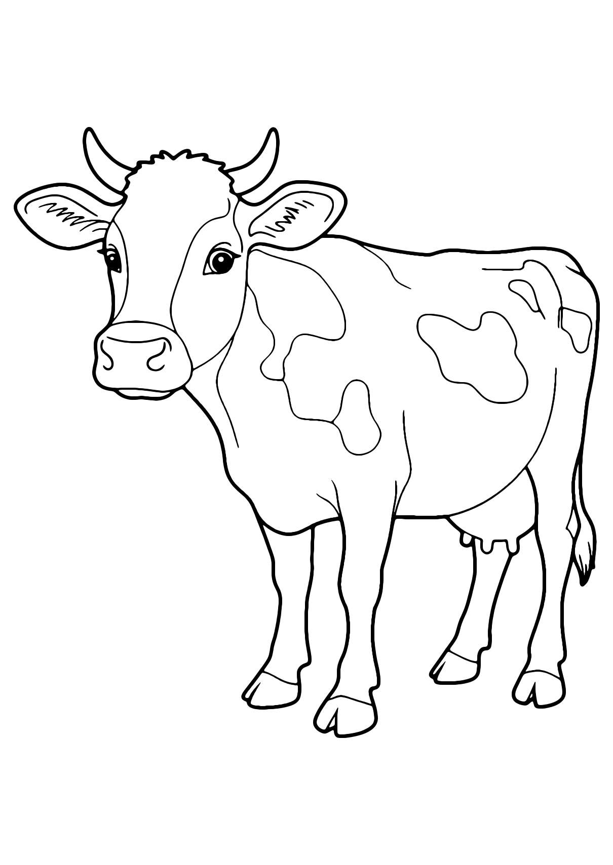 Realistic Cow Coloring Page