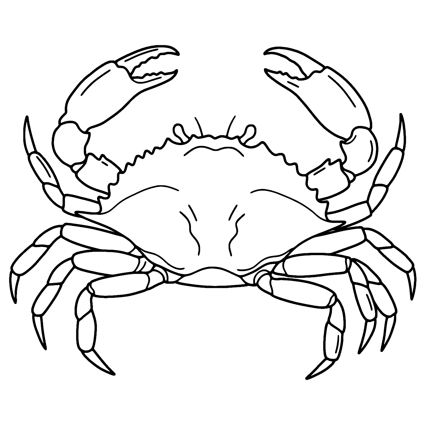 Coloriage Crabe Realiste