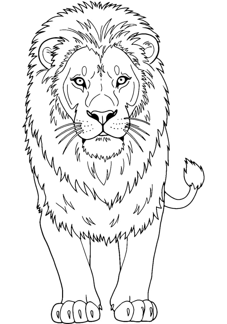 Realistic Lion Coloring Page