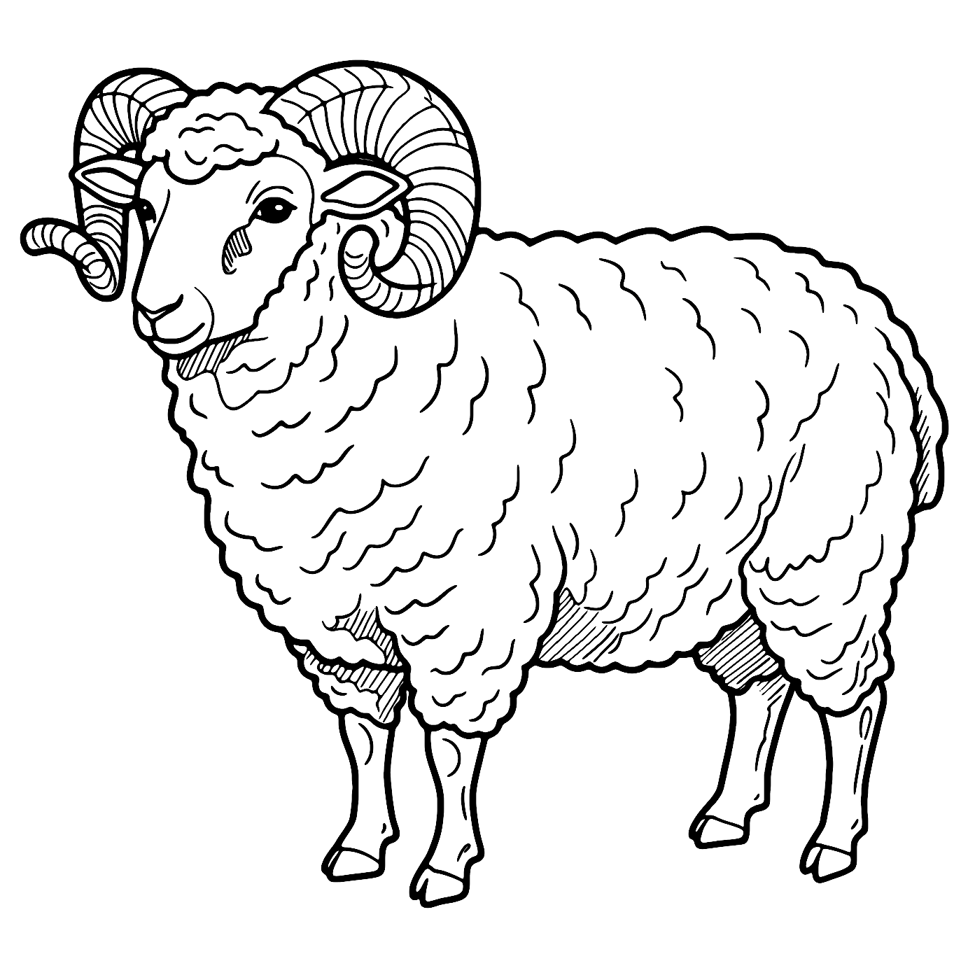 Coloriage Mouton Réaliste