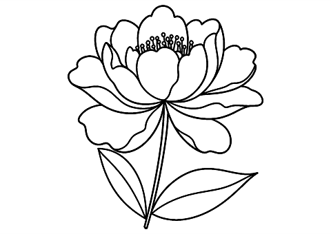 bunga menenangkan Coloring Page