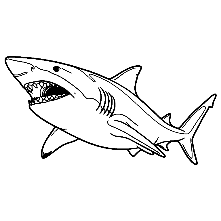 Sand Tiger Shark Coloring Page