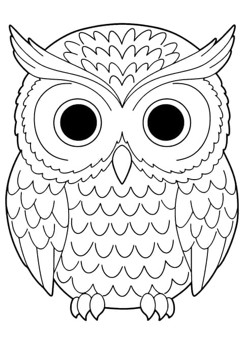 귀여운 부엉이 Coloring Page