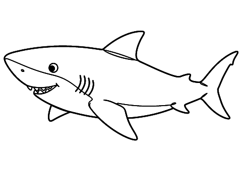 requin simple