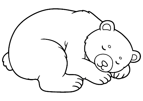 Schlafender Bär Coloring Page