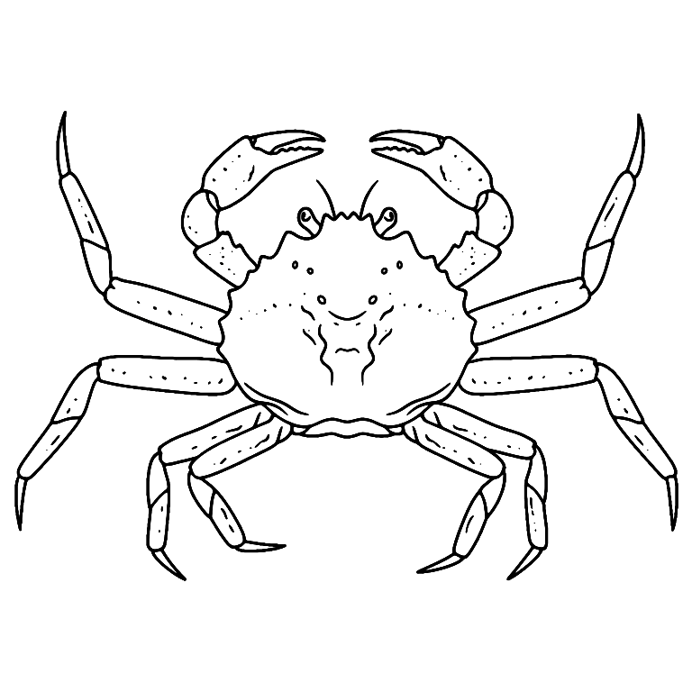 Snow Crab Coloring Page