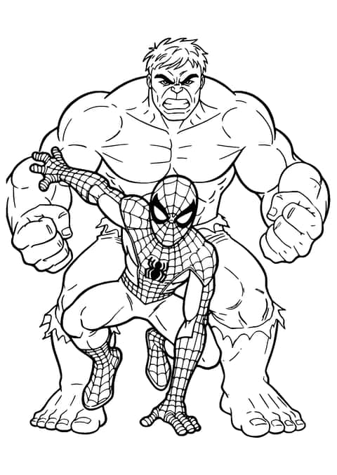 spiderman og hulk