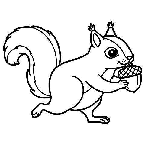 juokseva orava Coloring Page