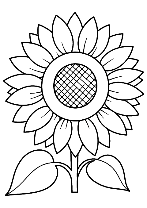 zonnebloem Coloring Page