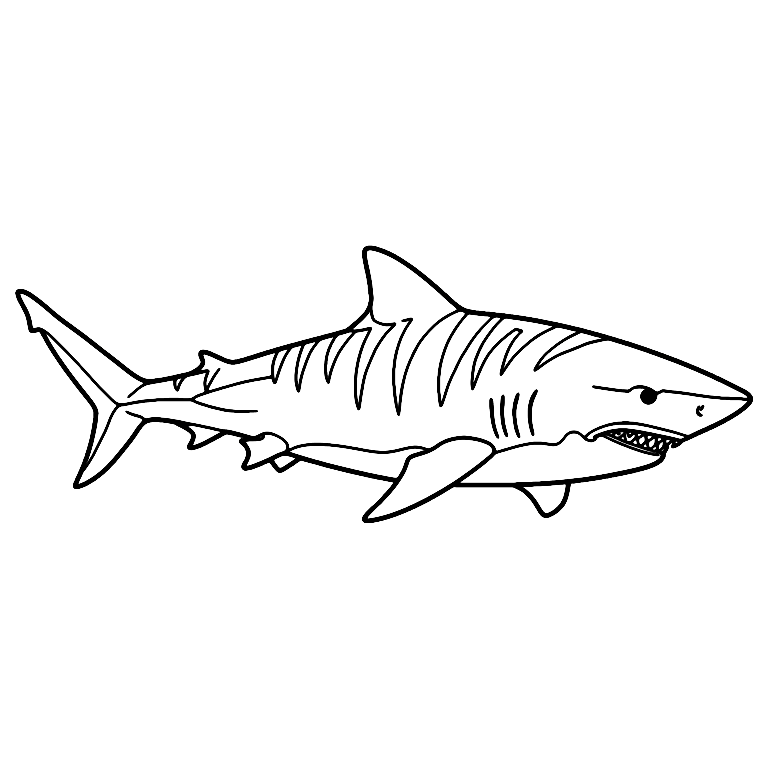 Tiger Shark Coloring Page